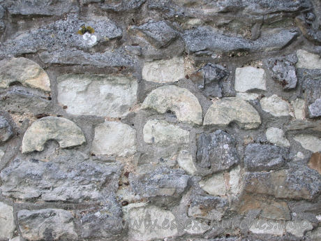 St Mary & All Saints, Great Stambridge Church – According to ecclesiological historian John Vigar, these strange round shapes are sections of either a pillar, or a pillar piscina. They have been used as rubble during the construction (or repair) of the N chancel wall.