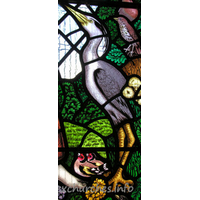 All Saints, Nazeing Church – Stained Glass 2: Detail from Peter Cormack glass, showing heron.