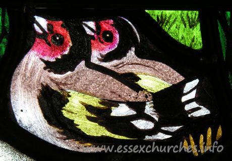 All Saints, Nazeing Church – Detail from Peter Cormack glass, showing two goldfinches.
