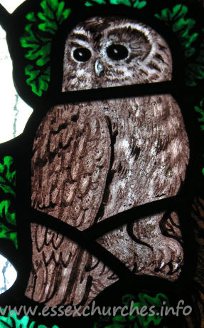 All Saints, Nazeing Church – Detail from Peter Cormack glass, showing an owl.