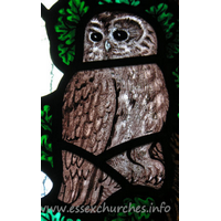 All Saints, Nazeing Church – Stained Glass 6: Detail from Peter Cormack glass, showing an owl.