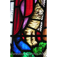 All Saints, Nazeing Church – Stained Glass 7: Detail from Peter Cormack glass, showing a cat.